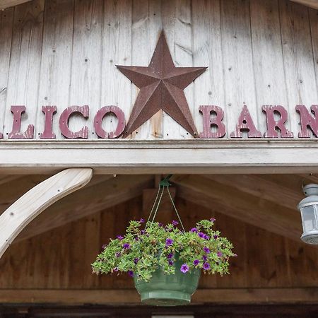Calico Barn Hostel Widdrington Ngoại thất bức ảnh