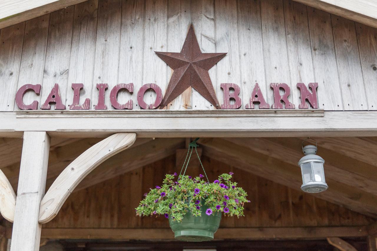 Calico Barn Hostel Widdrington Ngoại thất bức ảnh